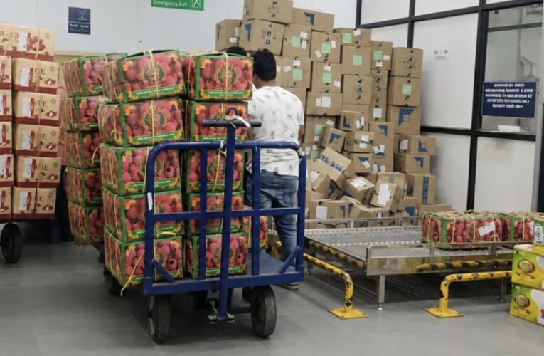 Bagdogra Airport records massive growth in litchi cargo transportation