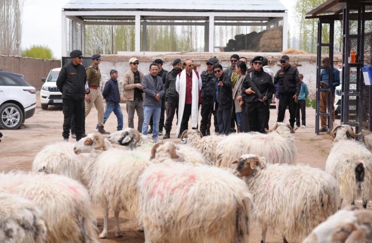 Ladakh Approves New Incentives and Funds to Support Pashmina Industry