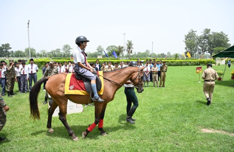 Hempur Remembers the Legacy of Horses on World Horse Day