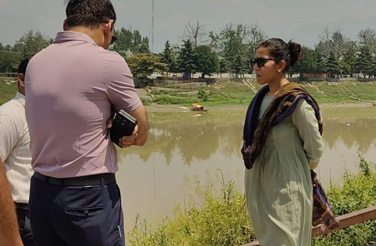 Preparations reviewed for River Cruise Transport project on Jhelum