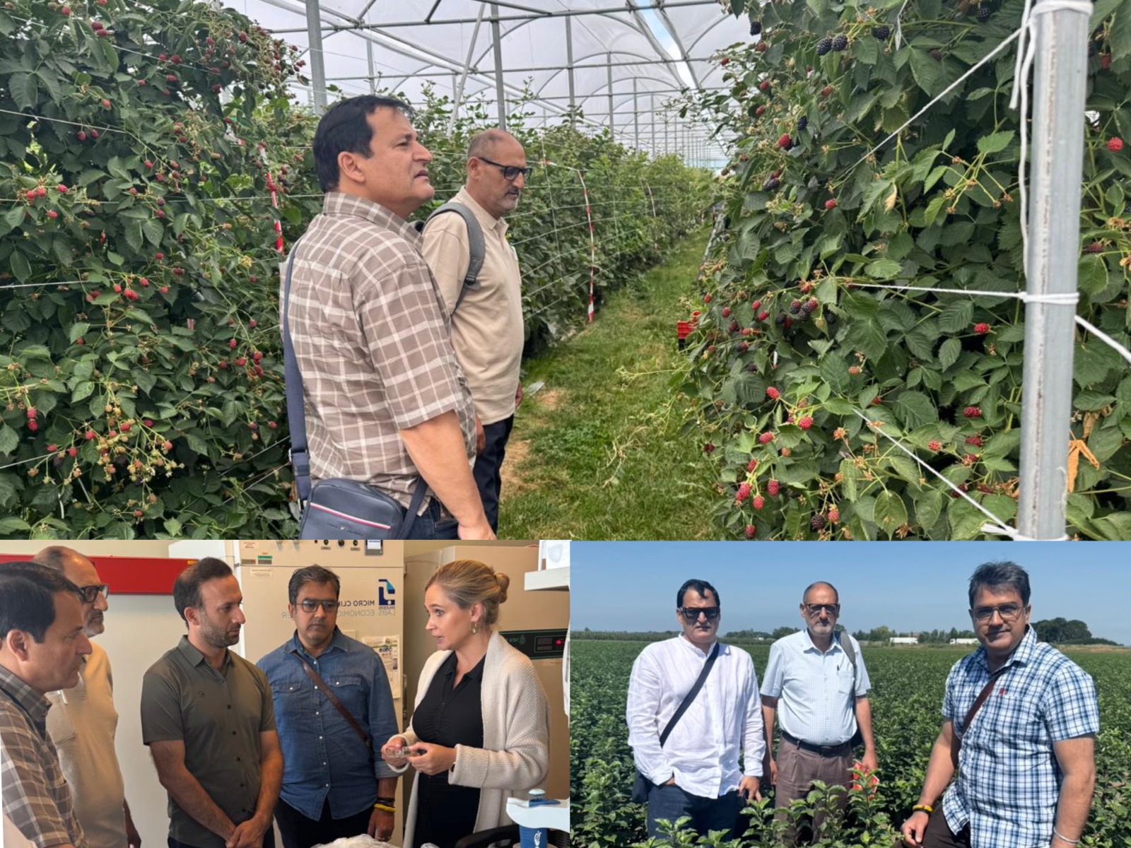 Jammu and Kashmir Explores European Best Practices to Modernize Horticulture and Boost Farmer Revenue
