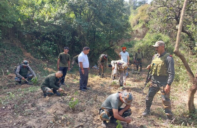 Mohargarh Nala Rejuvenation: Chinar Eco Warriors and J&K Forest Department Restore Vibrant Ecosystem in Samba