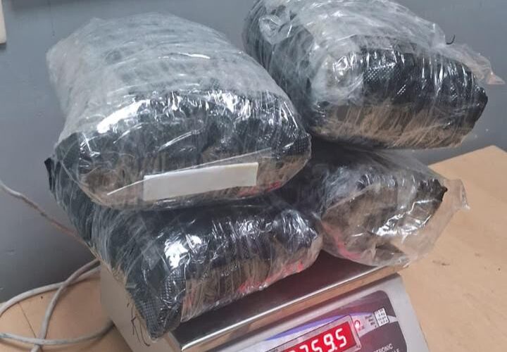 Delhi Airport Customs seizes hydroponic weed worth thousands from Phuket passenger