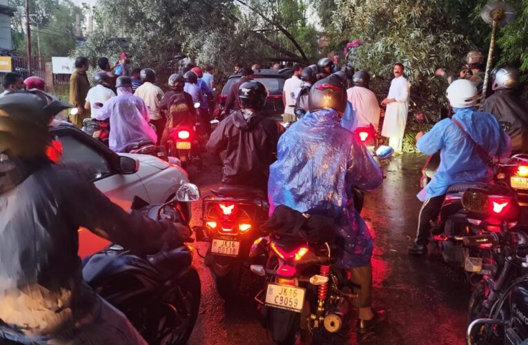 Army Restores Traffic After Tree Blocks Busy Road Amid Heavy Rainfall